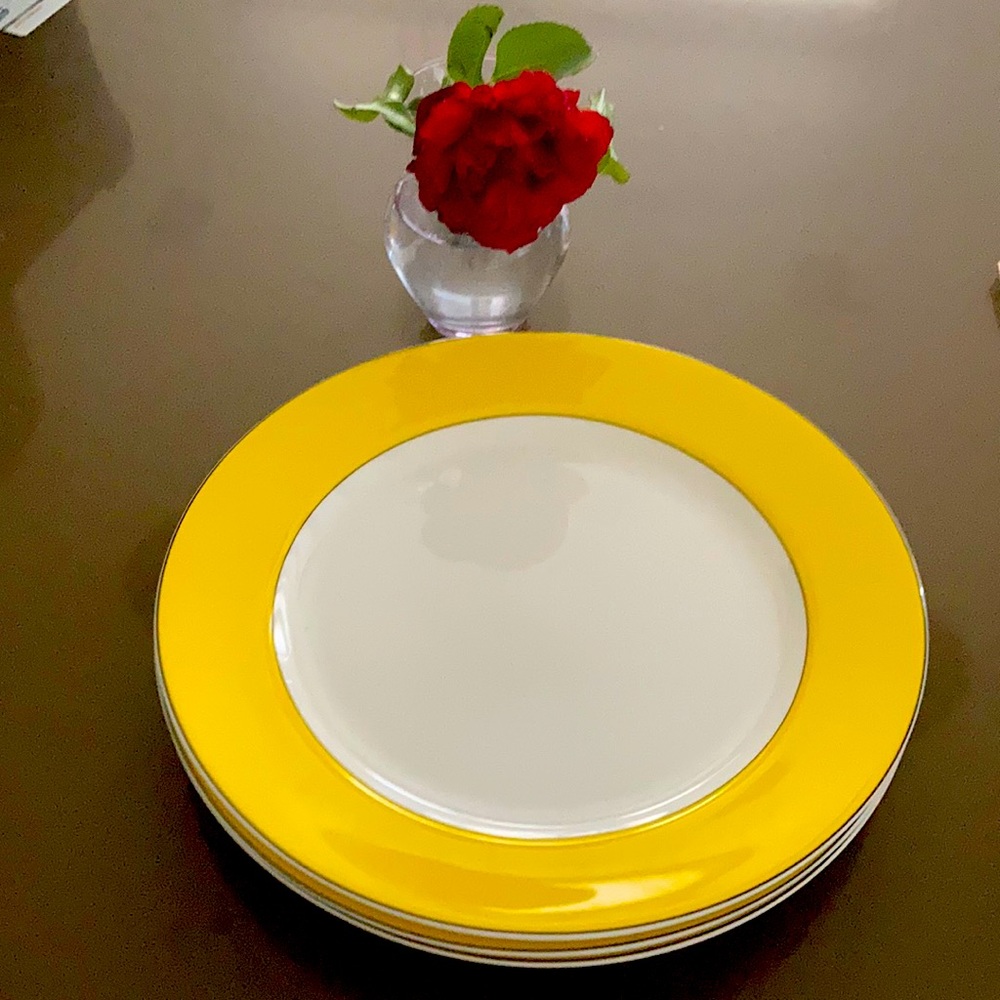 Kate Spade Rutherford Circle Dinner Plates